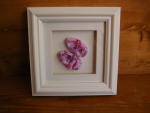 ten tiny toes crochet baby shoes memory box