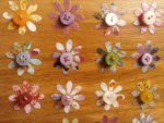 pretty button daisies
