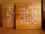 pretty button daisies