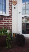 Fairy door Made In Love HQ