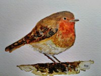 Cover Photo: art cards