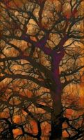Avrill's oak tree.