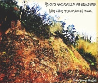 Nothing's changed -lyric image