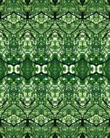 Mirrorring birch
