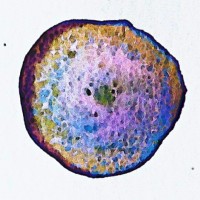 The joy of one accidental drop of watercolour